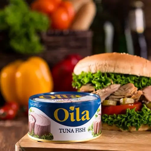 خریدعمده کنسرو  تن ماهی اویلا  به صورت مستقیم از کارخانه